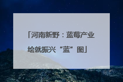 河南新野：蓝莓产业绘就振兴“蓝”图