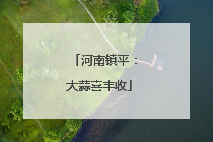 河南镇平：大蒜喜丰收