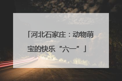河北石家庄：动物萌宝的快乐“六一”