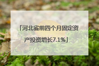 河北省前四个月固定资产投资增长7.1%