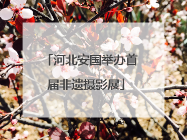 河北安国举办首届非遗摄影展