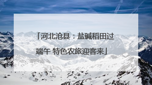 河北沧县：盐碱稻田过端午 特色农旅迎客来