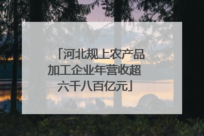 河北规上农产品加工企业年营收超六千八百亿元