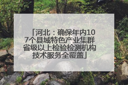 河北：确保年内107个县域特色产业集群省级以上检验检测机构技术服务全覆盖