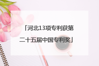 河北13项专利获第二十五届中国专利奖