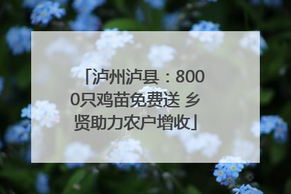 泸州泸县：8000只鸡苗免费送 乡贤助力农户增收