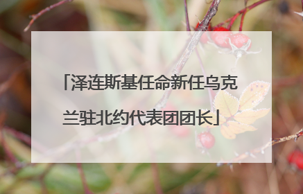 泽连斯基任命新任乌克兰驻北约代表团团长