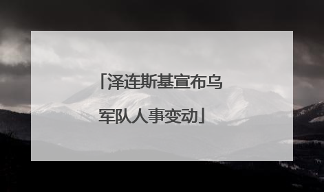 泽连斯基宣布乌军队人事变动