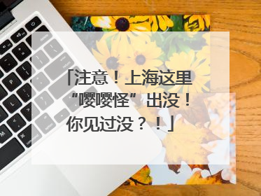注意！上海这里“嘤嘤怪”出没！你见过没？！