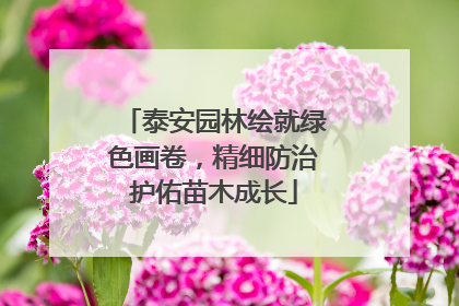 泰安园林绘就绿色画卷，精细防治护佑苗木成长