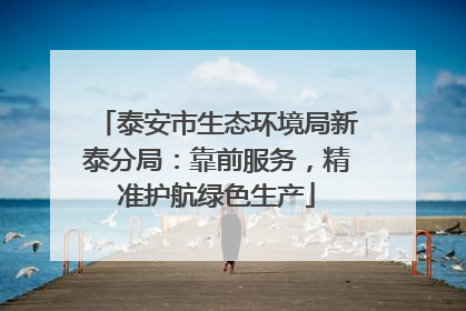 泰安市生态环境局新泰分局：靠前服务，精准护航绿色生产