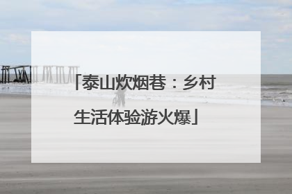 泰山炊烟巷：乡村生活体验游火爆