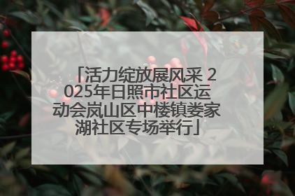 活力绽放展风采 2025年日照市社区运动会岚山区中楼镇娄家湖社区专场举行