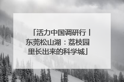 活力中国调研行丨东莞松山湖：荔枝园里长出来的科学城