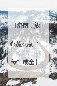 洛南：放心蔬菜点“绿”成金