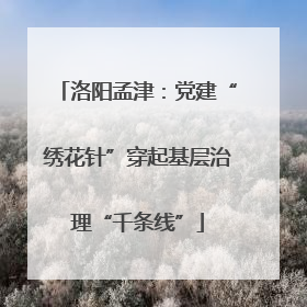 洛阳孟津：党建“绣花针”穿起基层治理“千条线”