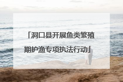 洞口县开展鱼类繁殖期护渔专项执法行动
