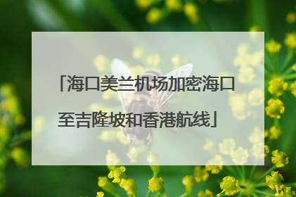 海口美兰机场加密海口至吉隆坡和香港航线