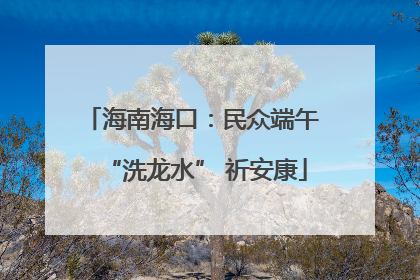 海南海口：民众端午 “洗龙水” 祈安康