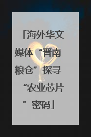 海外华文媒体“晋南粮仓”探寻“农业芯片”密码