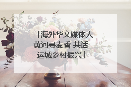 海外华文媒体人黄河寻麦香 共话运城乡村振兴