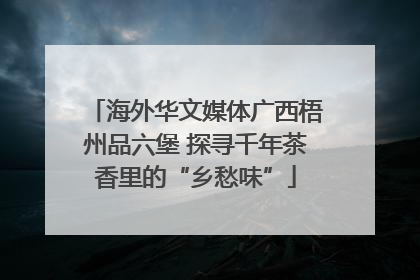 海外华文媒体广西梧州品六堡 探寻千年茶香里的“乡愁味”
