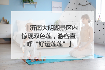 济南大明湖景区内惊现双色莲，游客直呼“好运莲莲”