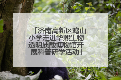 济南高新区鸡山小学走进华熙生物透明质酸博物馆开展科普研学活动