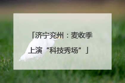 济宁兖州：麦收季上演“科技秀场”