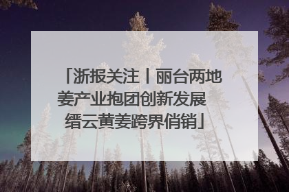浙报关注丨丽台两地姜产业抱团创新发展 缙云黄姜跨界俏销
