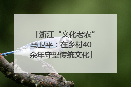 浙江“文化老农”马卫平：在乡村40余年守望传统文化