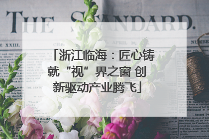 浙江临海：匠心铸就“视”界之窗 创新驱动产业腾飞