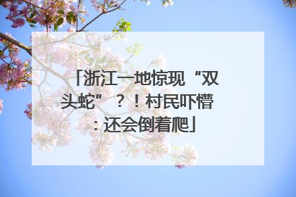 浙江一地惊现“双头蛇”？！村民吓懵：还会倒着爬