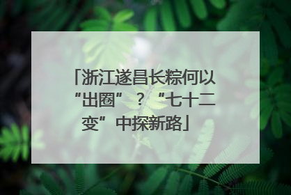 浙江遂昌长粽何以“出圈”？“七十二变”中探新路