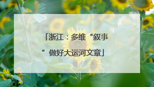 浙江：多维“叙事”做好大运河文章