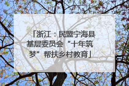 浙江：民盟宁海县基层委员会“十年筑梦”帮扶乡村教育