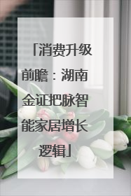 消费升级前瞻：湖南金证把脉智能家居增长逻辑