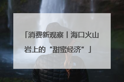 消费新观察丨海口火山岩上的“甜蜜经济”
