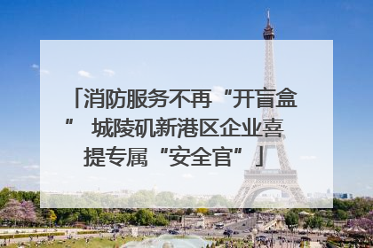 消防服务不再“开盲盒” 城陵矶新港区企业喜提专属“安全官”