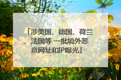 涉美国、德国、荷兰、法国等 一批境外恶意网址和IP曝光