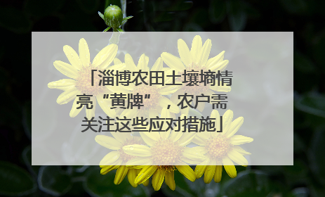 淄博农田土壤墒情亮“黄牌”，农户需关注这些应对措施