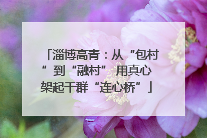 淄博高青：从“包村”到“融村” 用真心架起干群“连心桥”
