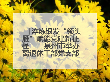 淬炼银发“领头雁”赋能党建新征程——泉州市举办离退休干部党支部书记能力建设专题培训