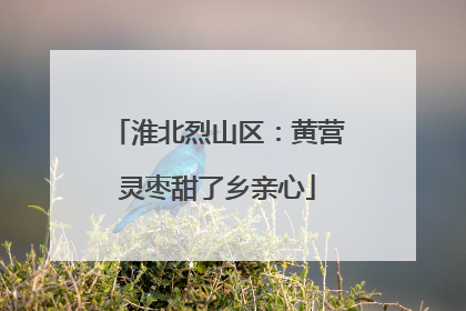 淮北烈山区：黄营灵枣甜了乡亲心