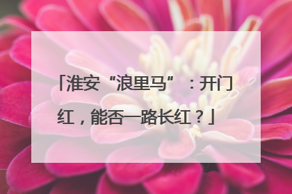 淮安“浪里马”：开门红，能否一路长红？