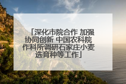 深化市院合作 加强协同创新 中国农科院作科所调研石家庄小麦选育种等工作
