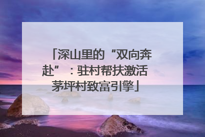 深山里的“双向奔赴”：驻村帮扶激活茅坪村致富引擎