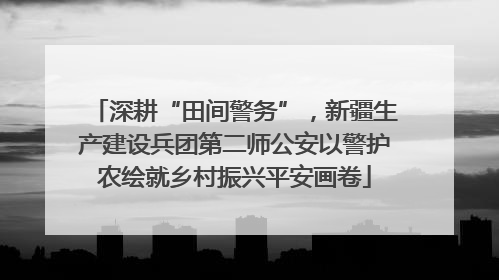深耕“田间警务”，新疆生产建设兵团第二师公安以警护农绘就乡村振兴平安画卷