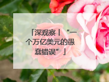 深观察丨“一个万亿美元的愚蠢错误”