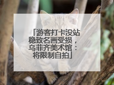 游客打卡没站稳致名画受损，乌菲齐美术馆：将限制自拍